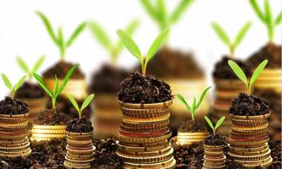 推動(dòng)產(chǎn)業(yè)升級(jí) 海南鼓勵(lì)農(nóng)產(chǎn)品加工企業(yè)兼并重組優(yōu)化投資管理